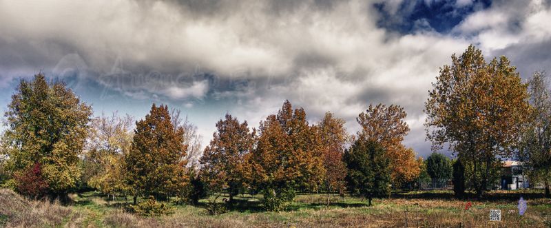 PANO. Parque de San Juan Reducc.jpg